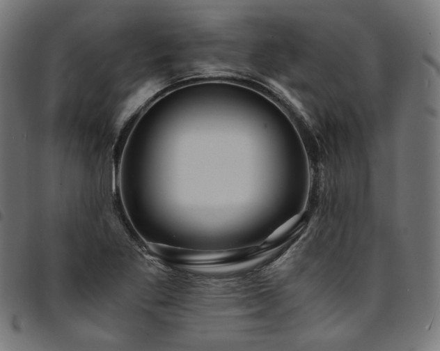 X0000095541269200712141516