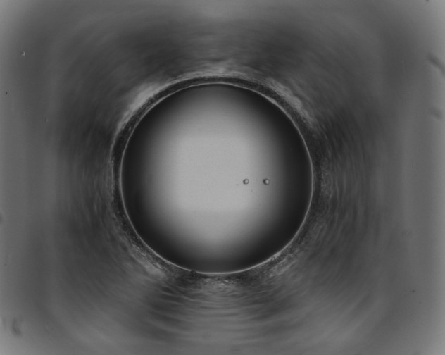 X0000095541270200712141516