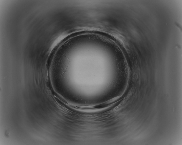 X0000095541271200712141516