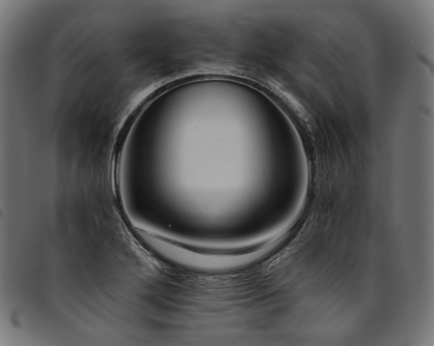 X0000095541272200712141516