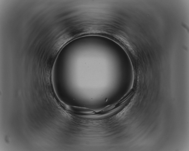 X0000095541273200712141516