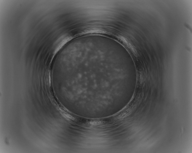 X0000095541274200712141516