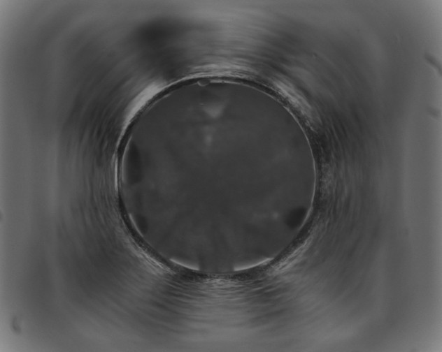 X0000095541275200712141516