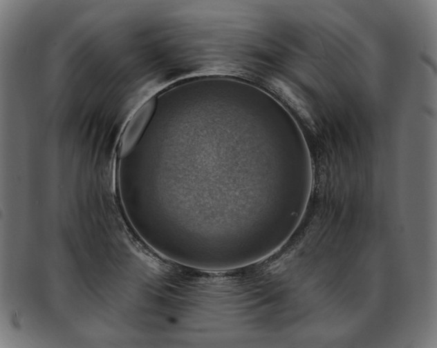 X0000095541276200712141516