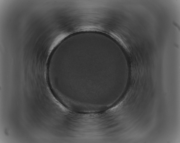 X0000095541277200712141516