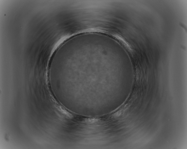 X0000095541278200712141516