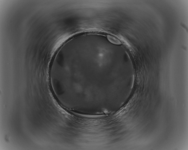 X0000095541279200712141516