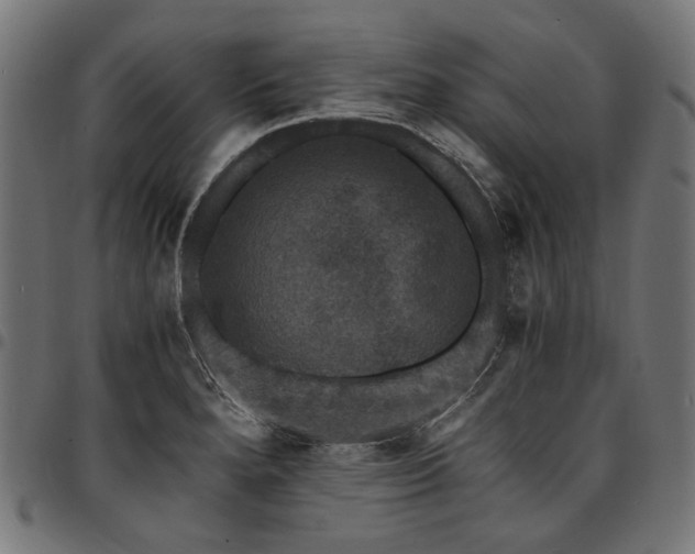 X0000095541280200712141516