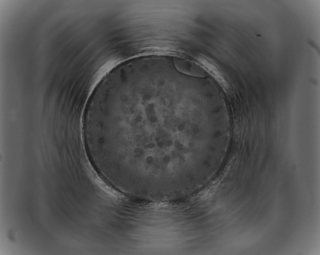 X0000095541283200712141516