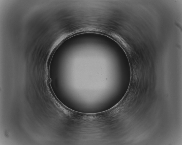 X0000095541286200712141516