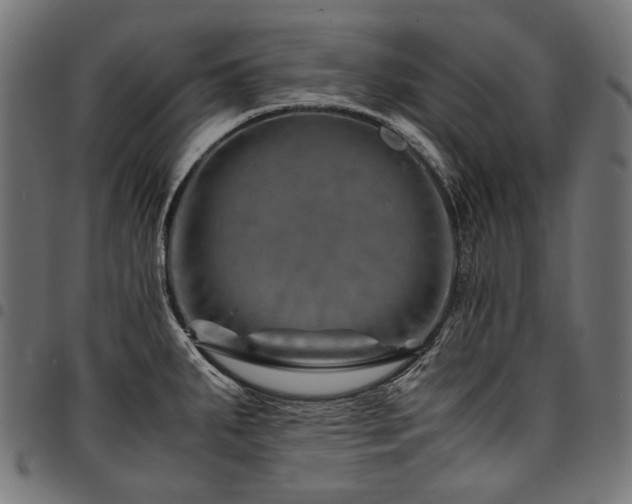 X0000095541287200712141516