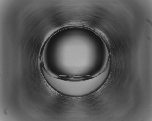 X0000095541288200712141516