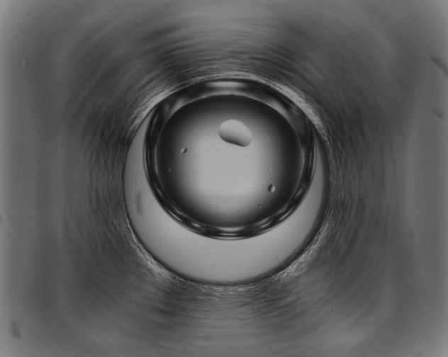 X0000095541289200712141516