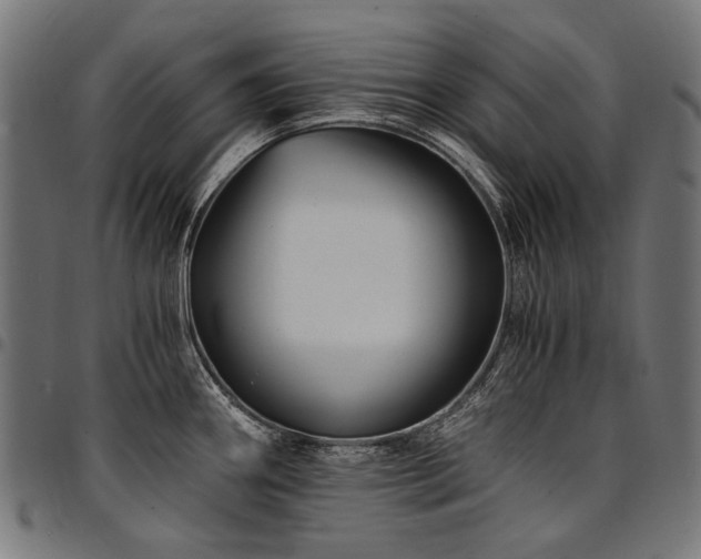 X0000095541290200712141516