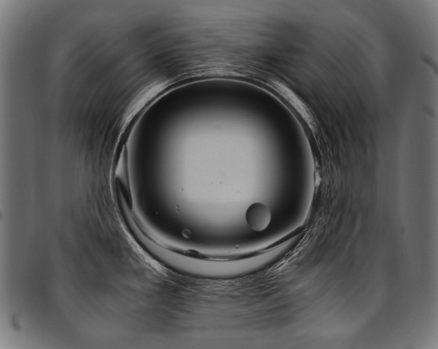 X0000095541293200712141516