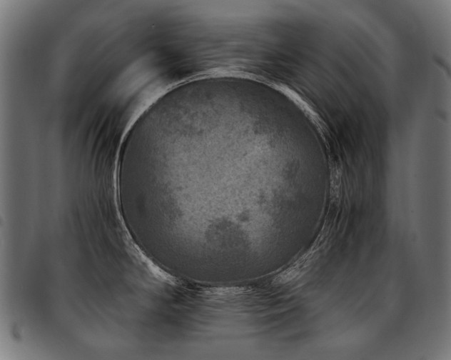 X0000095541294200712141516