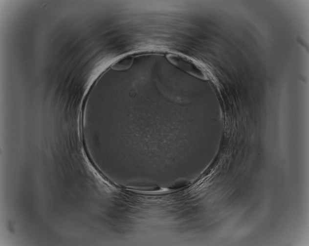 X0000095541295200712141516