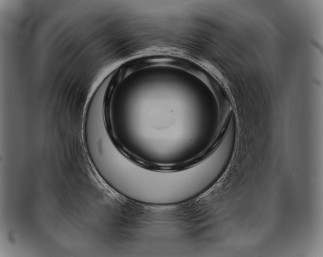 X0000095541296200712141516