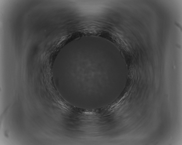 X0000095541297200712141515