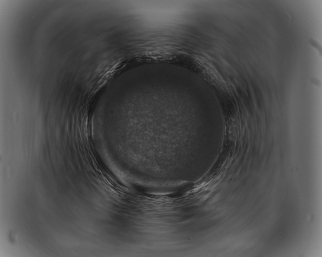 X0000095541298200712141515