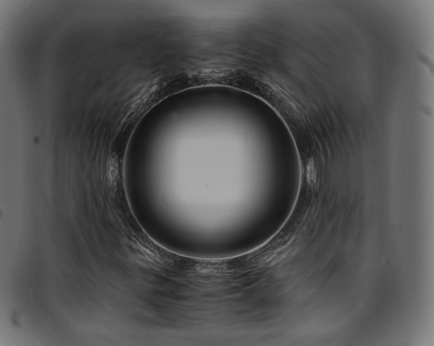 X0000095541299200712141515