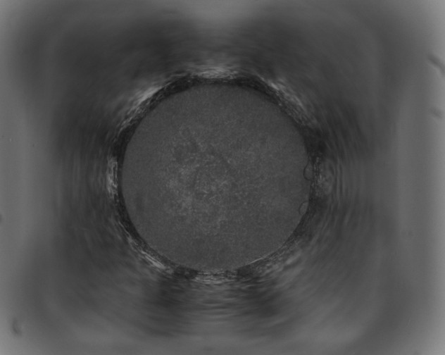 X0000095541301200712141515