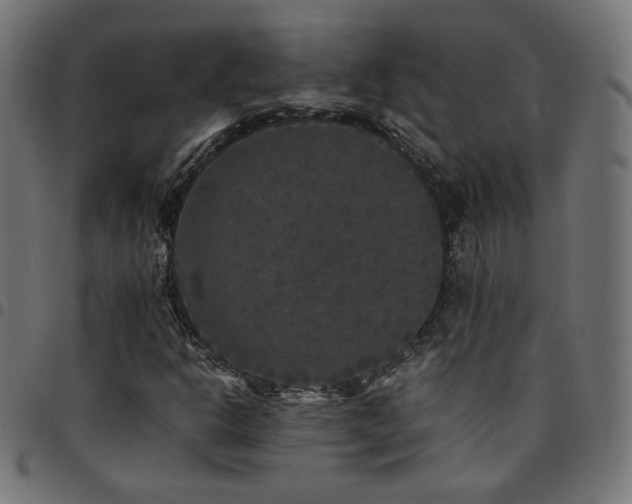 X0000095541302200712141515