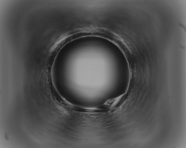 X0000095541304200712141515