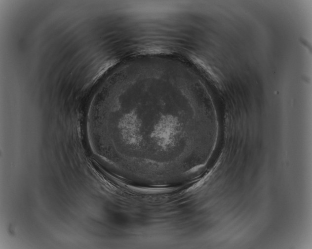 X0000095541305200712141515
