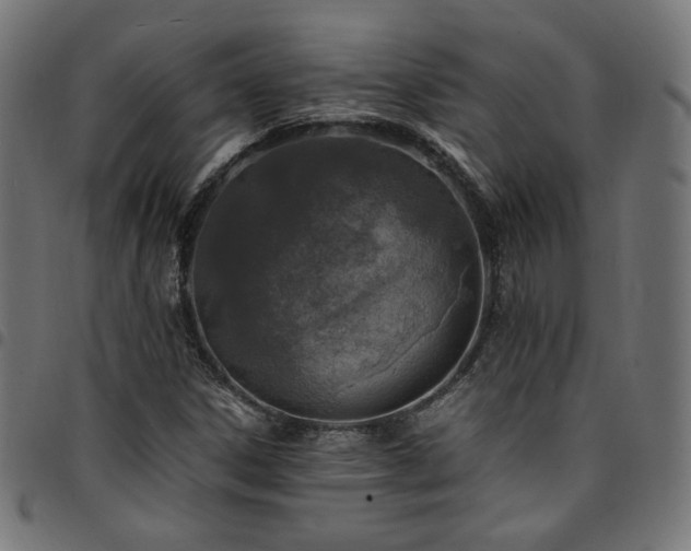 X0000095541306200712141515