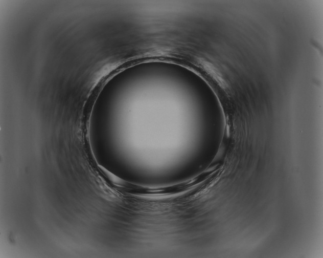 X0000095541308200712141515