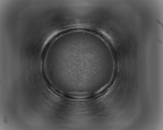 X0000095541310200712141515