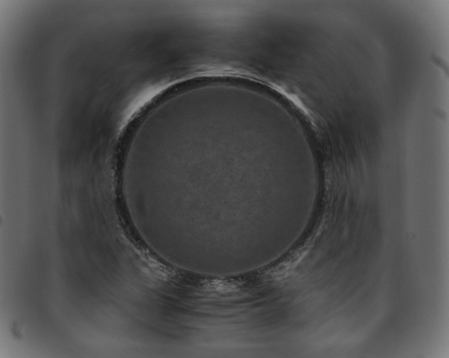 X0000095541311200712141515
