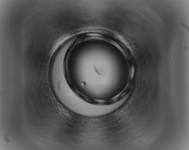 X0000095541312200712141515
