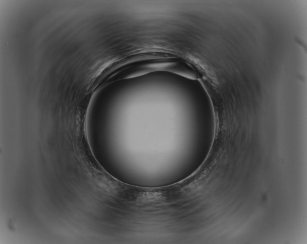 X0000095541313200712141515