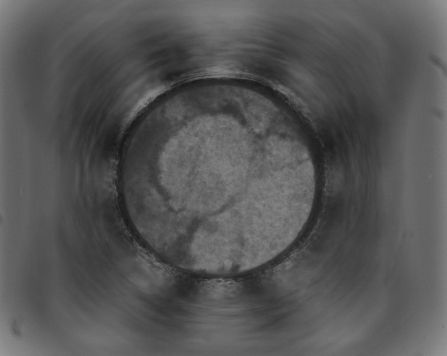 X0000095541314200712141515