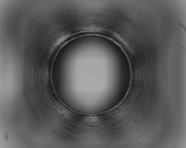 X0000095541315200712141515