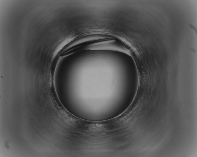 X0000095541317200712141515