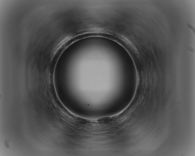 X0000095541318200712141515