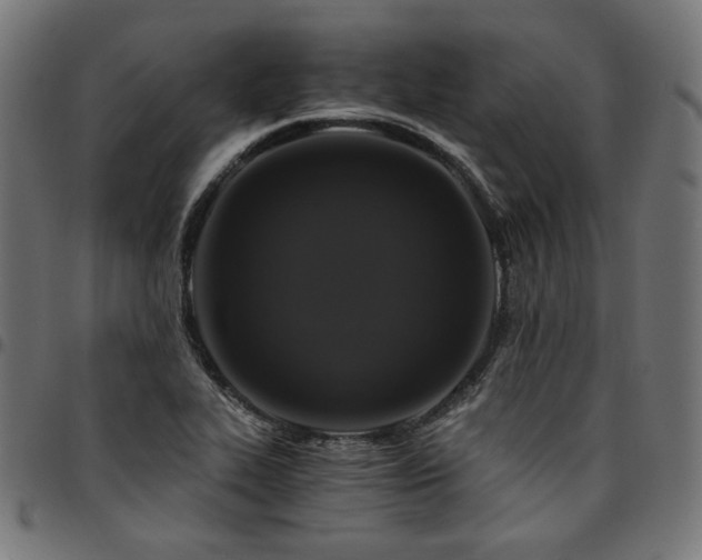 X0000095541319200712141515