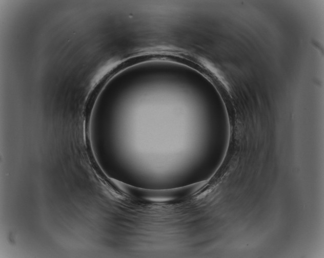 X0000095541320200712141515