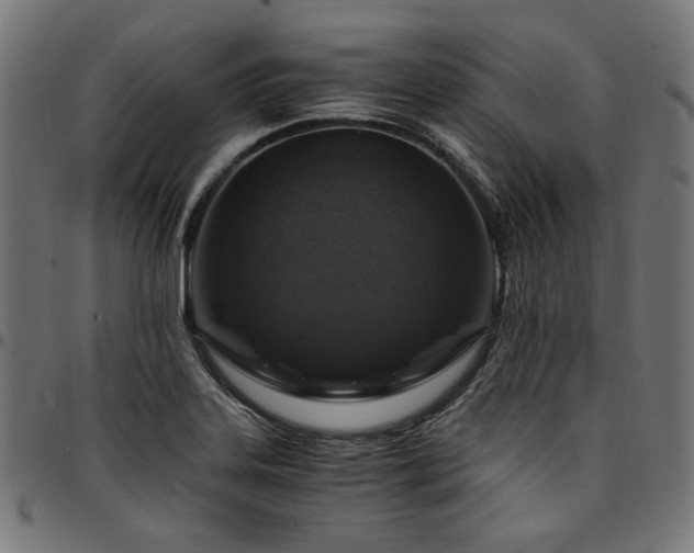 X0000095541323200712141516