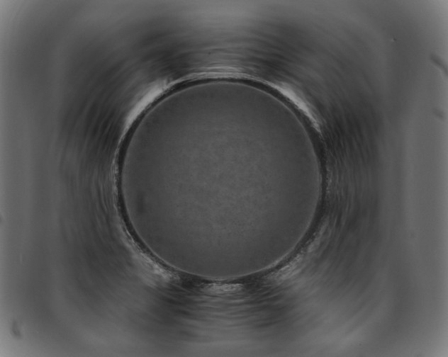 X0000095541325200712141516