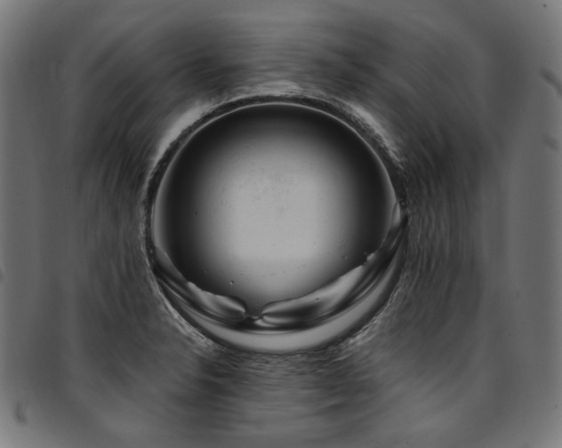 X0000095541326200712141516