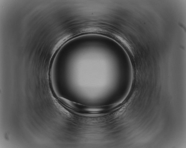 X0000095541330200712141516