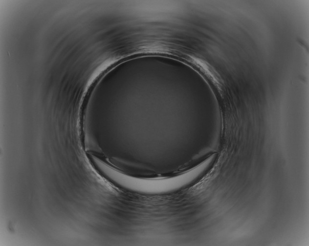 X0000095541331200712141516