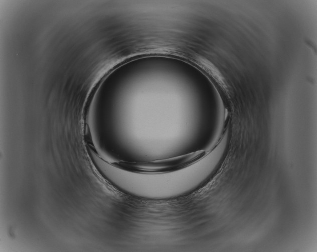 X0000095541332200712141516