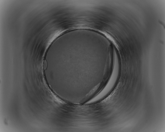 X0000095541333200712141516