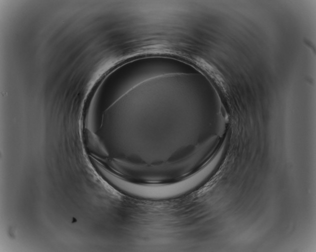 X0000095541334200712141516