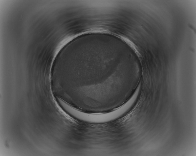 X0000095541335200712141516